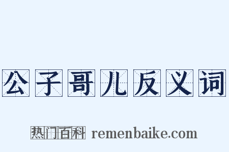 公子哥儿反义词是什么意思的图片